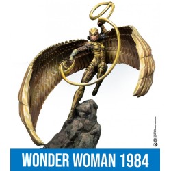 DC UNIVERSE - WONDER WOMAN 1984