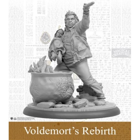 Harry Potter - Voldemort's Rebirth (EN)