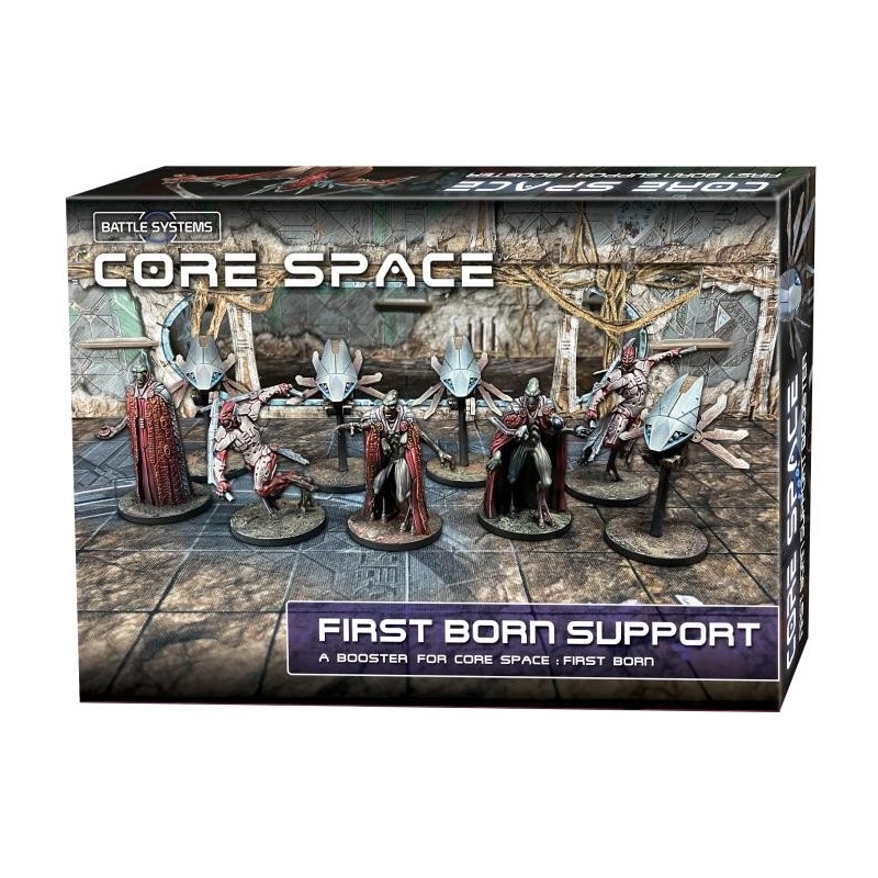 CORE SPACE FIRST BORN - SUPPORT FR - BSGCSE018