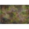 KSTC244 Terrain Crate - Fantastic Fantasy battle mat mantic games