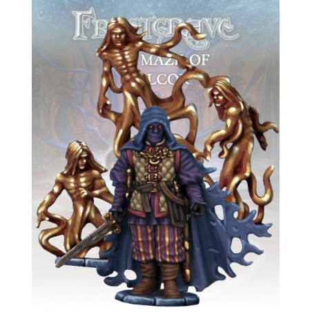 FGV412_Frostgrave - Les Spectre de Malcor et le Conseil FGV412_Frostgrave - Les Spectre de Malcor et le Conseil