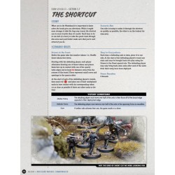 Fallout : The Roleplaying Game - The Commonwealth Rules Expansion (ENG)