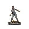 The Walking Dead Collector's Set (2024) (ENG)