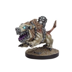 DEADZONE - MARAUDER COMMANDO STARTER