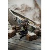 Warcrow - Darkmaster (FR + ENG)
