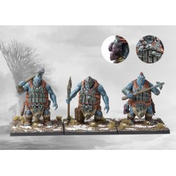 Conquest - Nords - Conquest 5th Anniversary Supercharged Starter Set