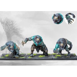 Conquest - Nords - Conquest 5th Anniversary Supercharged Starter Set