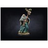 Conquest - Nords - Shaman