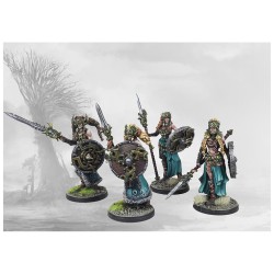 Conquest - Nords - Valkyries