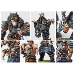 Conquest - Nords - Ulfhednar  (OOlf-head-nar)