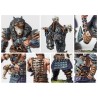 Conquest - Nords - Ulfhednar  (OOlf-head-nar)