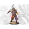 Conquest - Sorcerer Kings - Sardar
