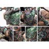 Conquest - W’adrhŭn - Chieftain Tontorr Rider