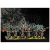 Conquest - W’adrhŭn - Slingers
