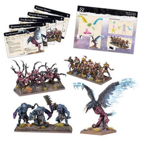 Kings of War - Champions The Void Talon Company Box  MGKWNS107