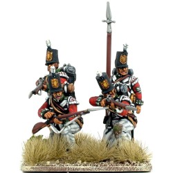 Victrix Miniatures - British Peninsular Infantry Centre Companies