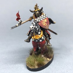 Victrix Miniatures - Medieval & Fantasy Heads, Cloaks & Shields