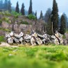 Victrix Miniatures - Teutonic Knights (Ordensstaat)
