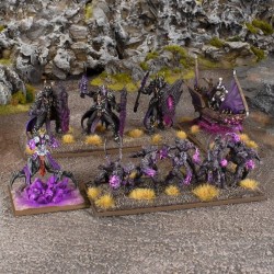 Kings of War - Champions - La’theal Voidheart Company Box (FR)