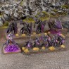 Kings of War - Champions - La’theal Voidheart Company Box (FR)