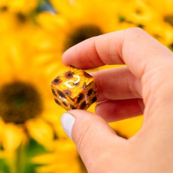 Set de Dès Full Art - Tournesol
