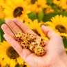 Set de Dès Full Art - Tournesol