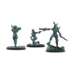 Abimé - Fallout - Wasteand Warfare - Raiders - Disciples Leaders