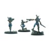 Abimé - Fallout - Wasteand Warfare - Raiders - Disciples Leaders