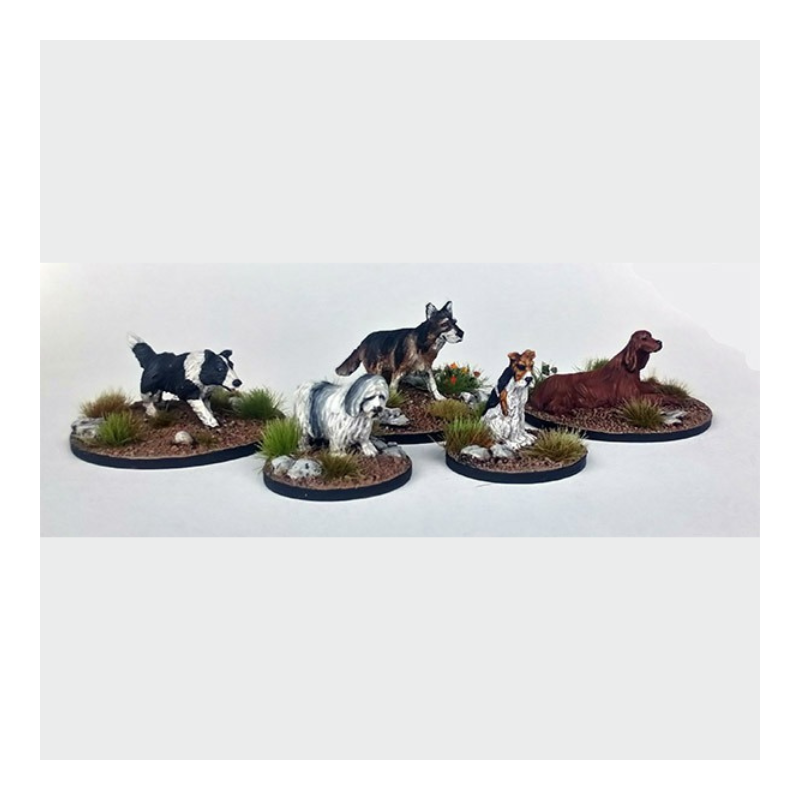 Dead Man’s Hand - Chiens ( 5 figurines ) DMH655