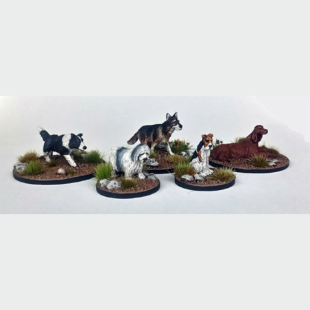 Dead Man’s Hand - Chiens ( 5 figurines ) DMH655
