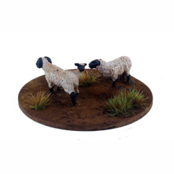 Préco - Dead Man’s Hand - Mouton (6 figurines)