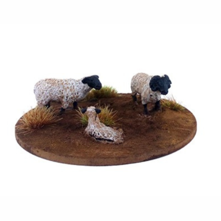 Dead Man’s Hand - Mouton (6 figurines) DMH657 Dead Man’s Hand - Mouton (6 figurines) DMH657