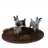 Dead Man’s Hand - Chèvres (6 figurines) DMH659
