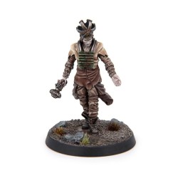 Préco - Fallout: Wasteland Warfare - Children of Atom - Priesthood