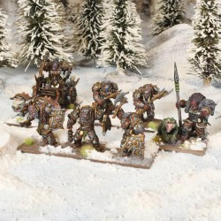MGKWH112-FRA_Kings of War - Champions Arokamorra Company Box (FR)