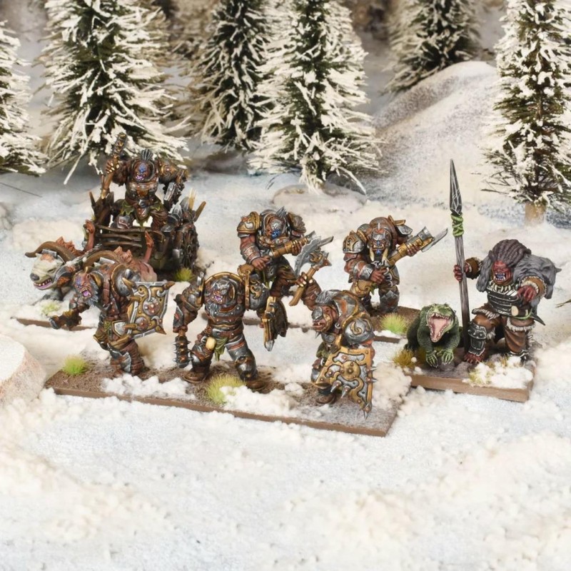 MGKWH112-FRA_Kings of War - Champions Arokamorra Company Box (FR)