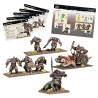 Kings of War - Champions Arokamorra Company Box (FR)