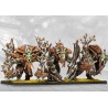 Préco - Conquest - Weaver Courts - Crann Guardians