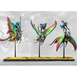 Préco - Conquest - Weaver Courts - Ciannir Riders