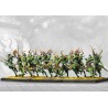 Préco - Conquest - Weaver Courts - Kern Skirmishers