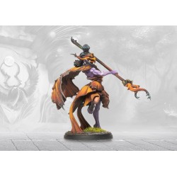 Préco - Conquest - Weaver Courts - Mhor Sidhe