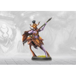 Préco - Conquest - Weaver Courts - Mhor Sidhe