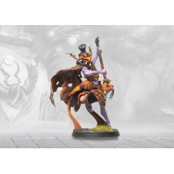 Préco - Conquest - Weaver Courts - Mhor Sidhe