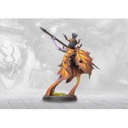 Préco - Conquest - Weaver Courts - Mhor Sidhe