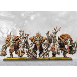 Préco - Conquest - Weaver Courts - One Player Starter Set