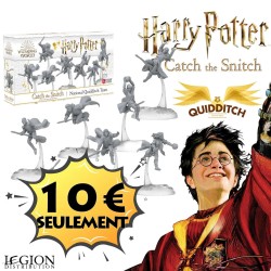 HPCTS004 HARRY POTTER : CATCH THE SNITCH - L'ÉQUIPE NATIONALE DU QUIDDITCH (FR)