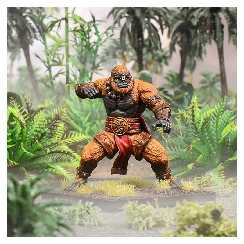 MGKWX402 Kings of War - Xirkaali - Shaoquan