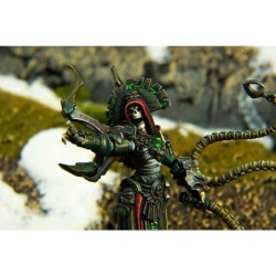 Préco - Warmachine - Orgoth Graveborn Command Cadre