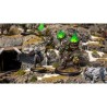 Préco - Warmachine - Orgoth Graveborn Command Cadre