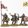 Préco - Victrix Miniatures - Early Saxon Warband